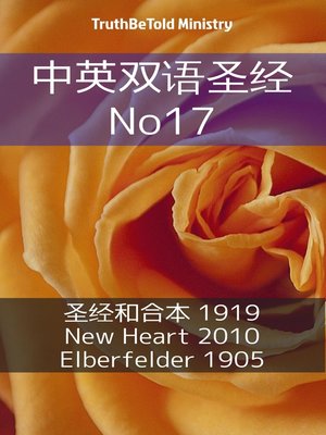 cover image of 中英双语圣经 No17